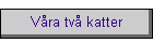 Våra två katter